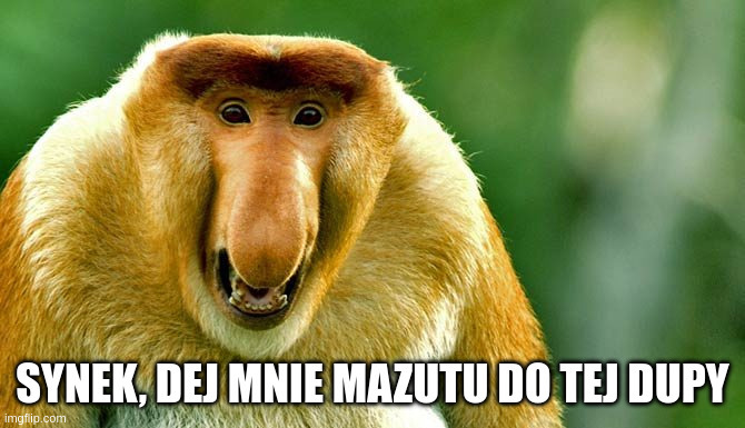 Dzieło sztuki #17039