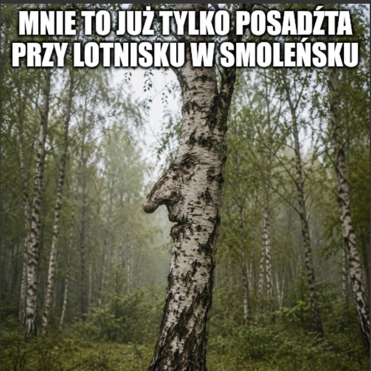 Dzieło sztuki #17042