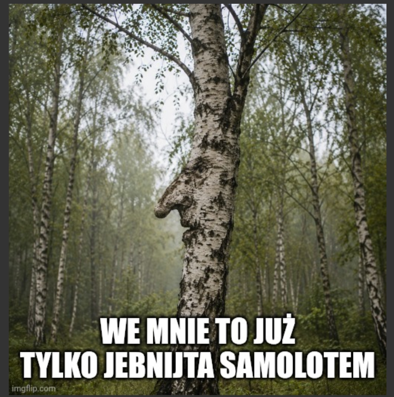 Dzieło sztuki #17043