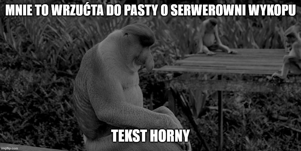 Dzieło sztuki #17051