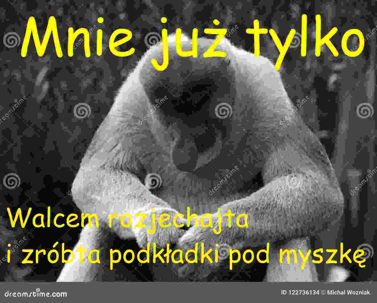 Dzieło sztuki #17052