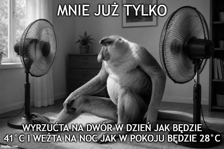 Dzieło sztuki #17053