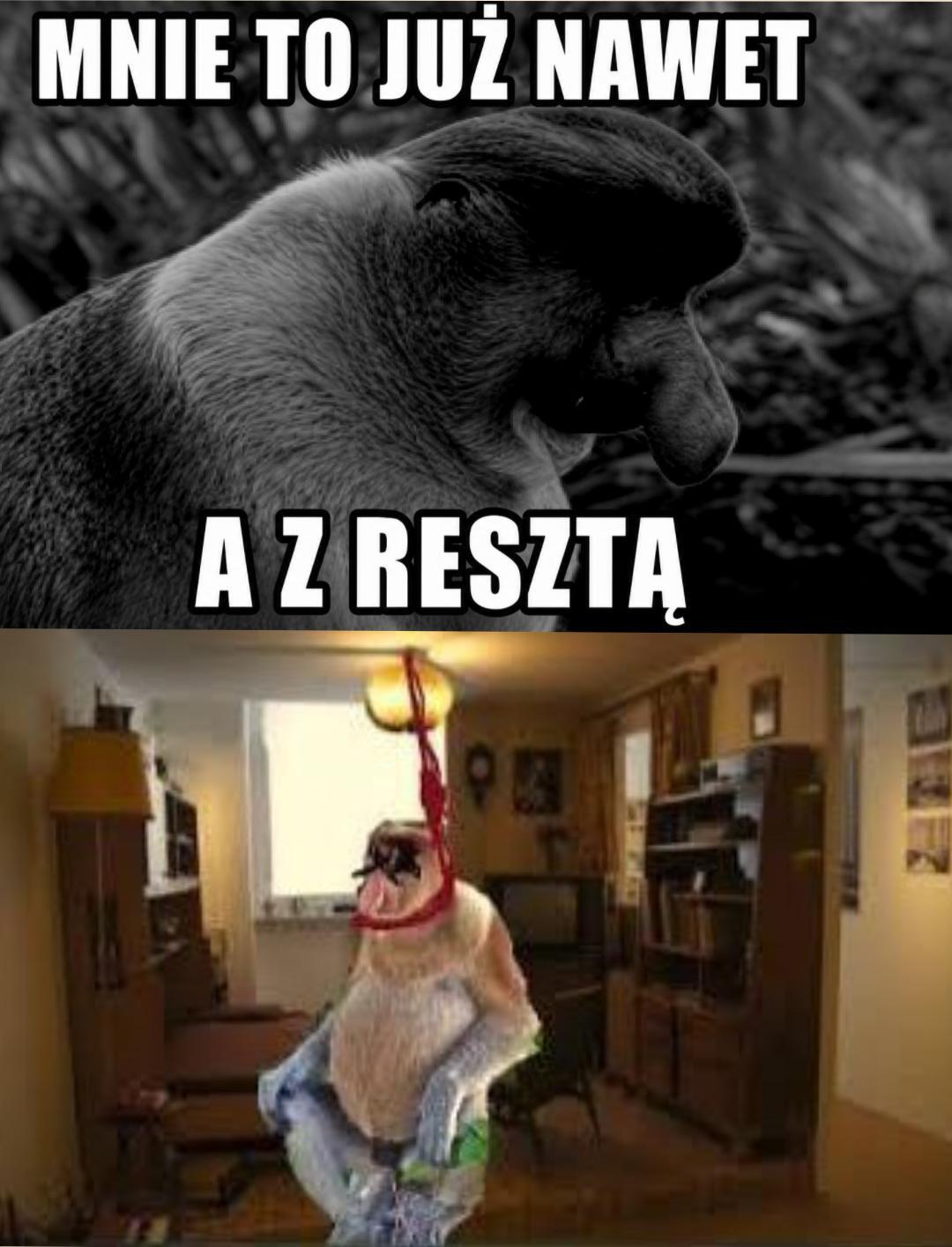 Dzieło sztuki #17061
