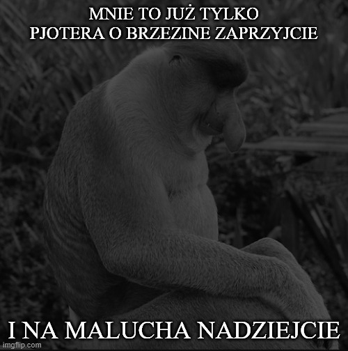 Dzieło sztuki #17063