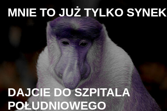 Dzieło sztuki #17064