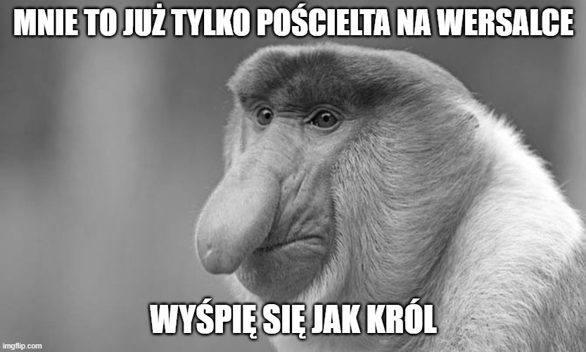 Dzieło sztuki #17066