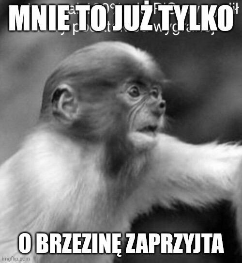 Dzieło sztuki #17070