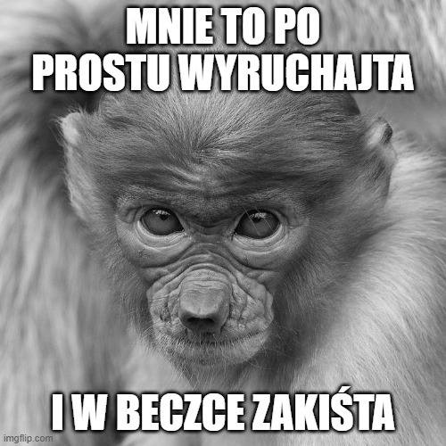 Dzieło sztuki #17072
