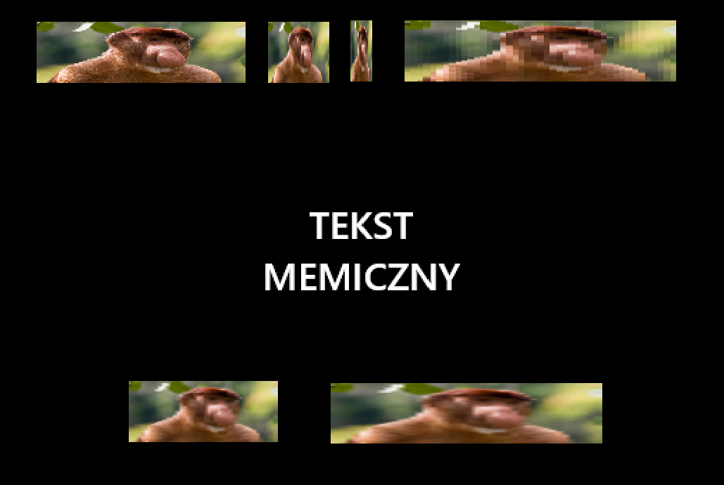 Dzieło sztuki #17073