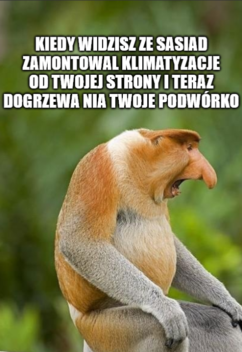 Dzieło sztuki #17076