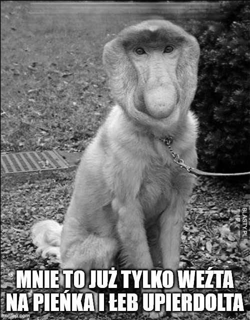 Dzieło sztuki #17080