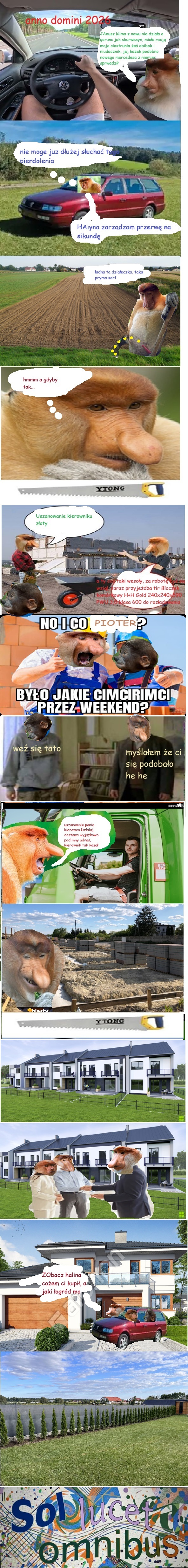 Dzieło sztuki #17081