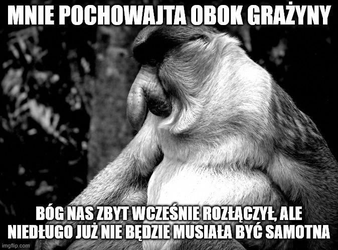 Dzieło sztuki #17086