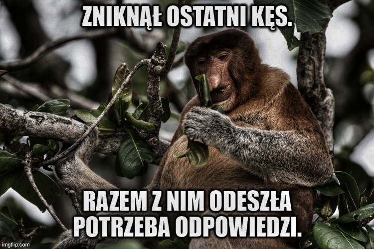 Dzieło sztuki #17097