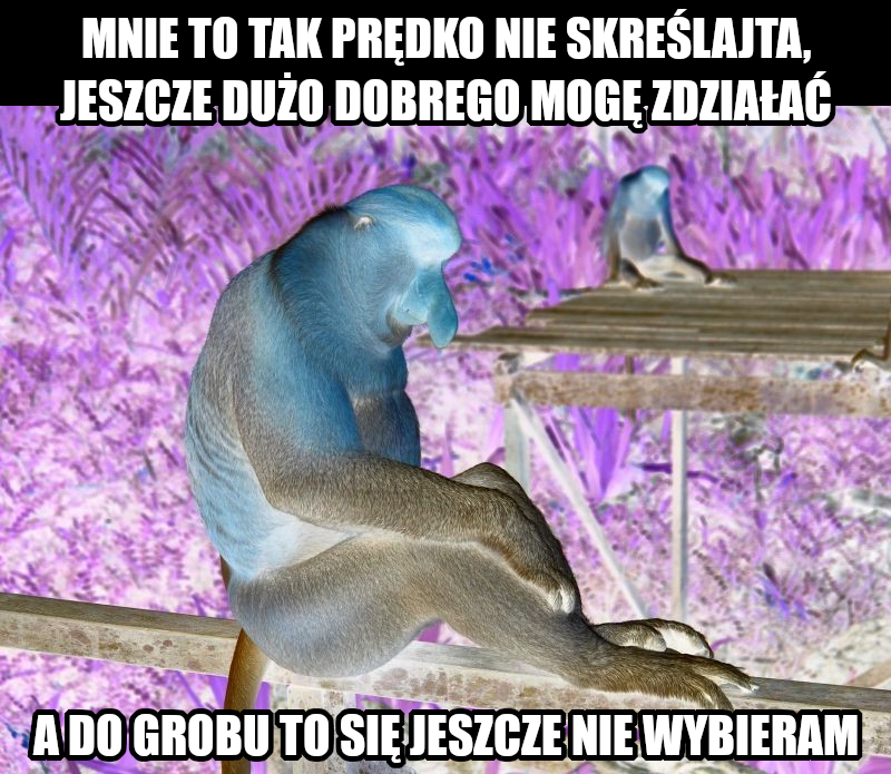 Dzieło sztuki #17105