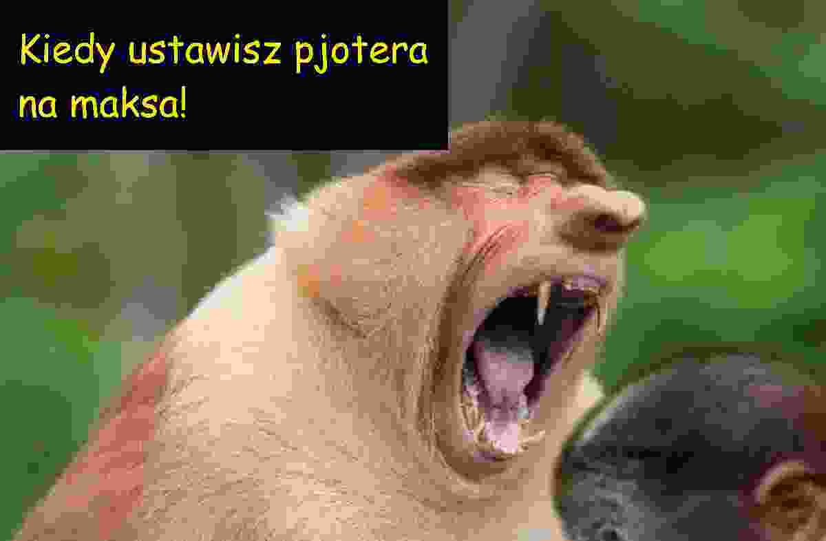 Dzieło sztuki #17126