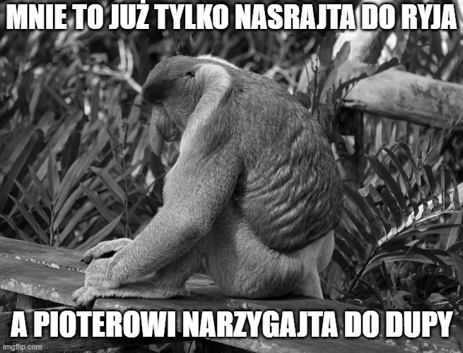 Dzieło sztuki #17133