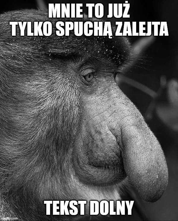 Dzieło sztuki #17139