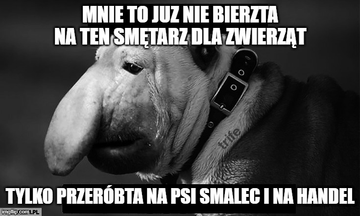 Dzieło sztuki #17144