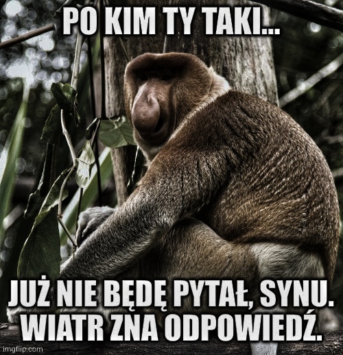 Dzieło sztuki #17149