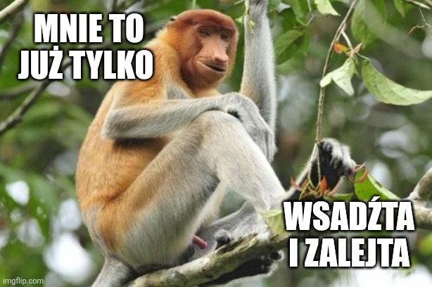 Dzieło sztuki #17153