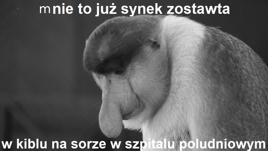 Dzieło sztuki #17159