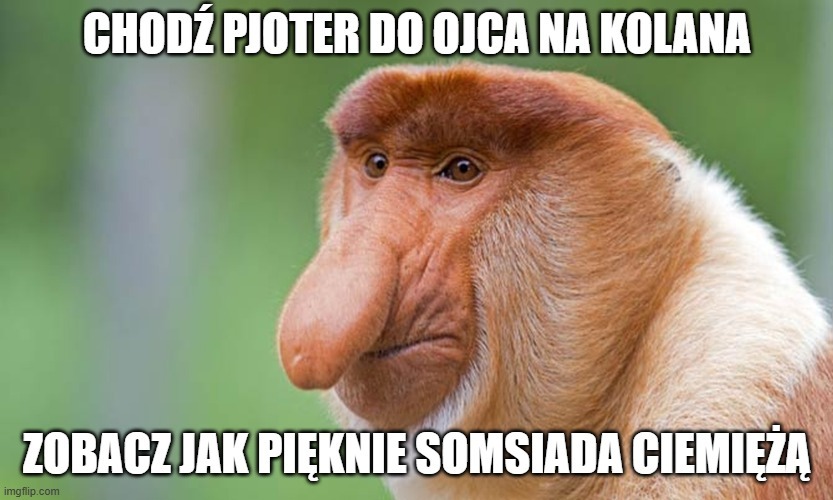 Dzieło sztuki #17167