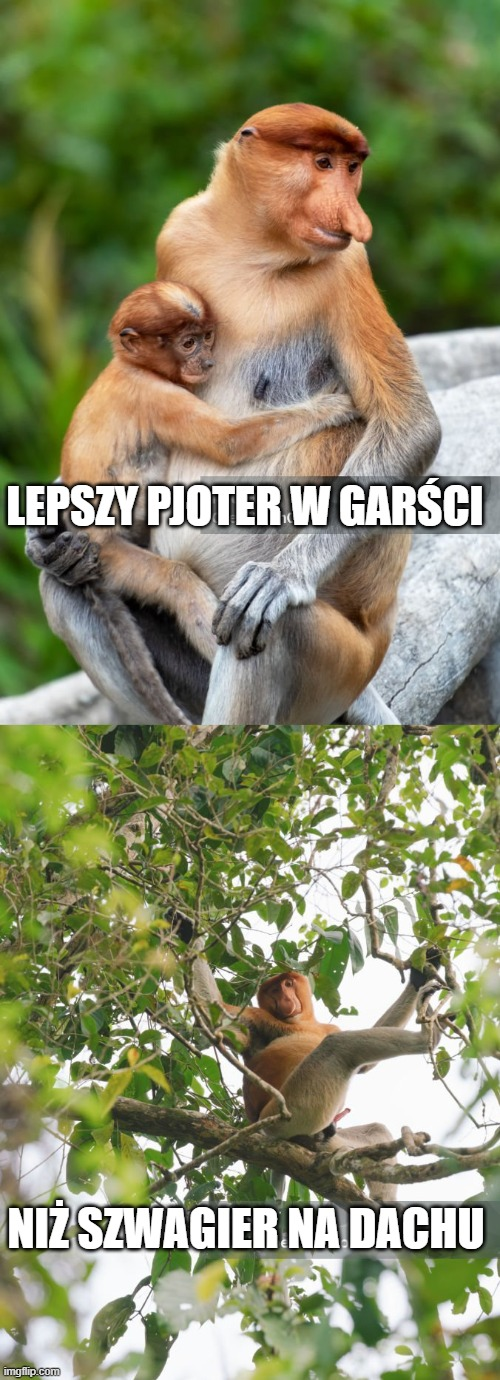 Dzieło sztuki #17175
