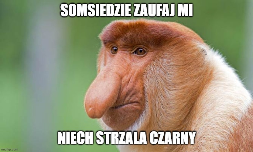 Dzieło sztuki #17176