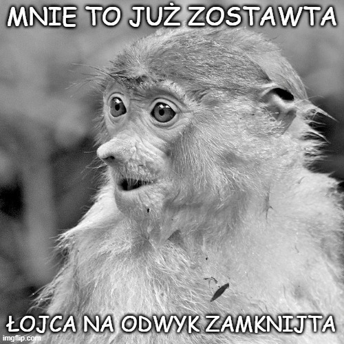 Dzieło sztuki #17196