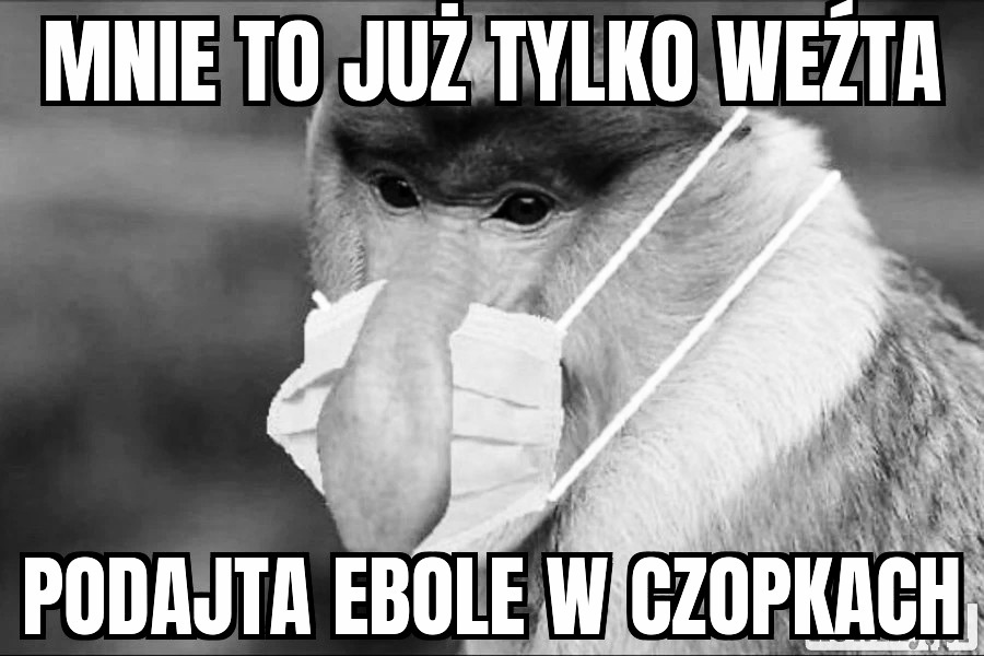 Dzieło sztuki #17198