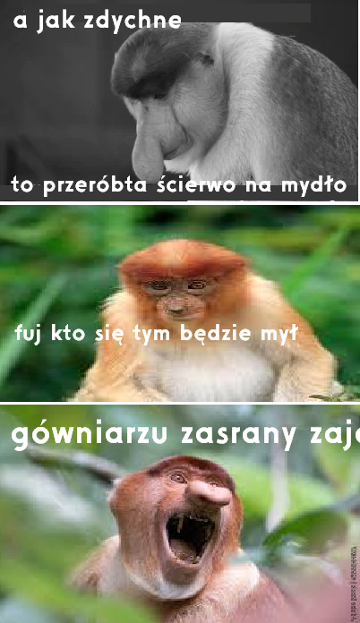 Dzieło sztuki #17204
