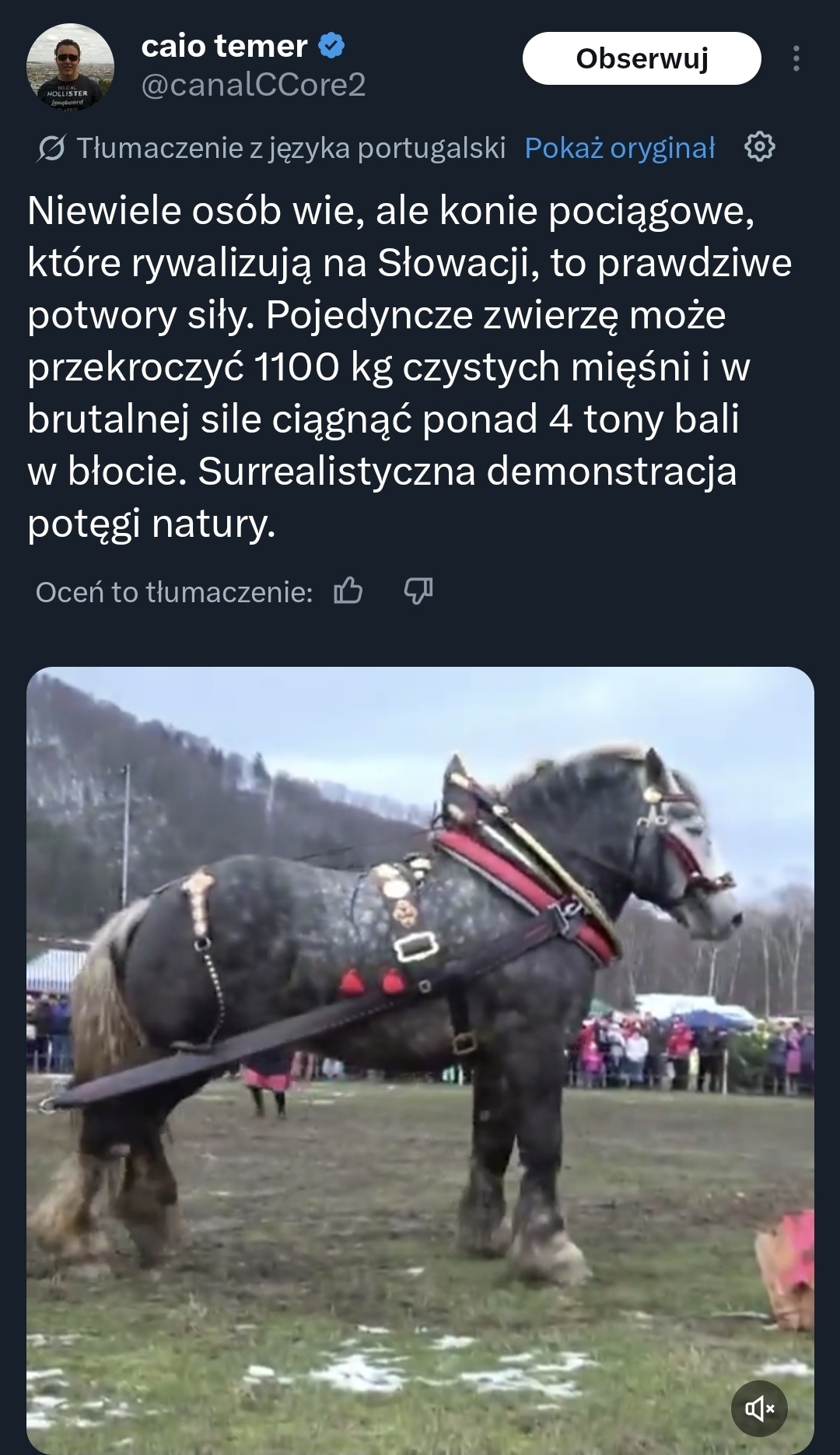 Dzieło sztuki #17218