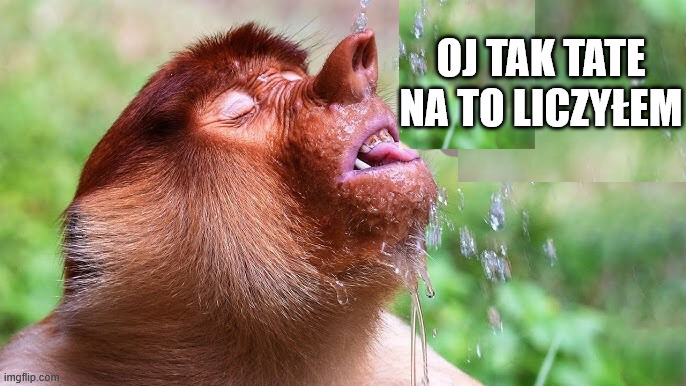 Dzieło sztuki #17221