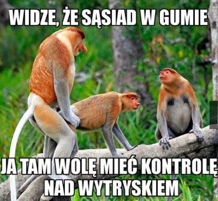 Dzieło sztuki #17226