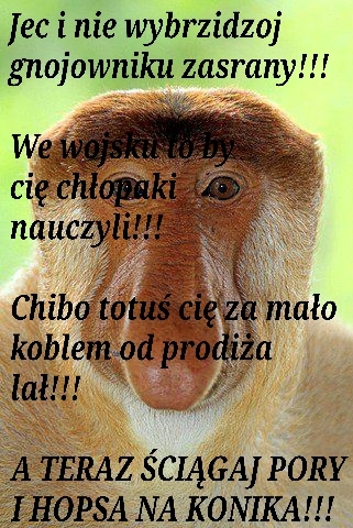 Dzieło sztuki #17240
