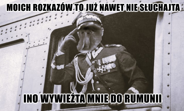 Dzieło sztuki #17244
