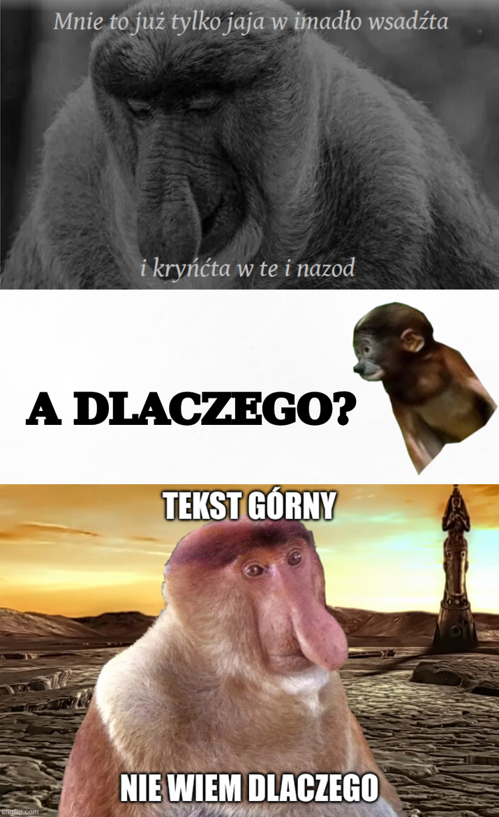 Dzieło sztuki #17248