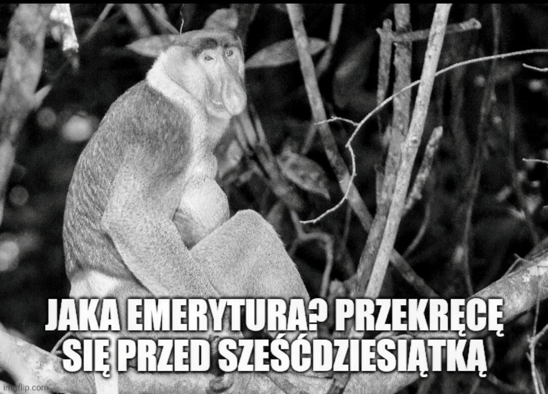Dzieło sztuki #17252