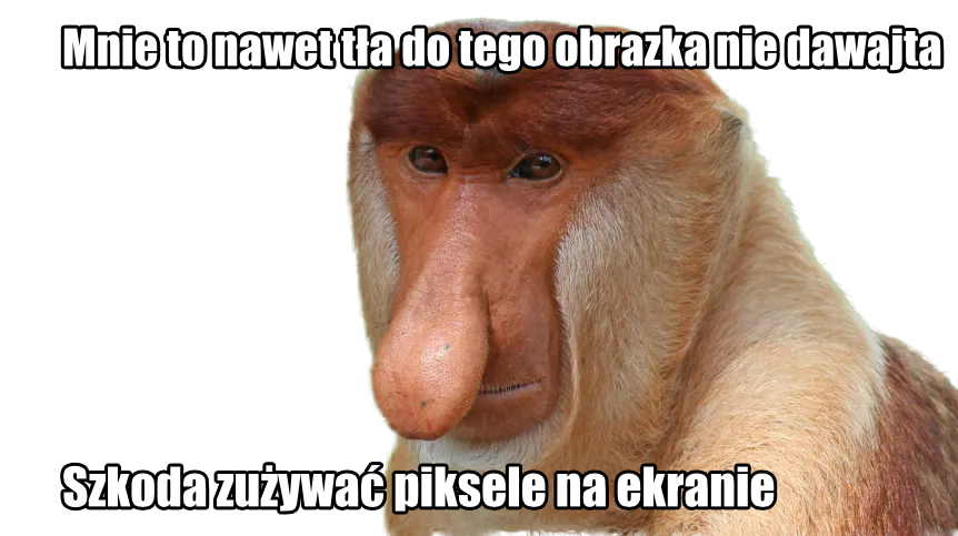 Dzieło sztuki #17277