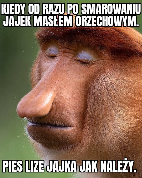 Dzieło sztuki #17287