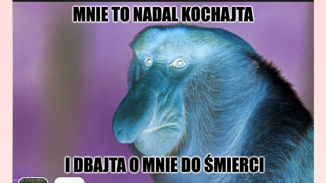Dzieło sztuki #17302