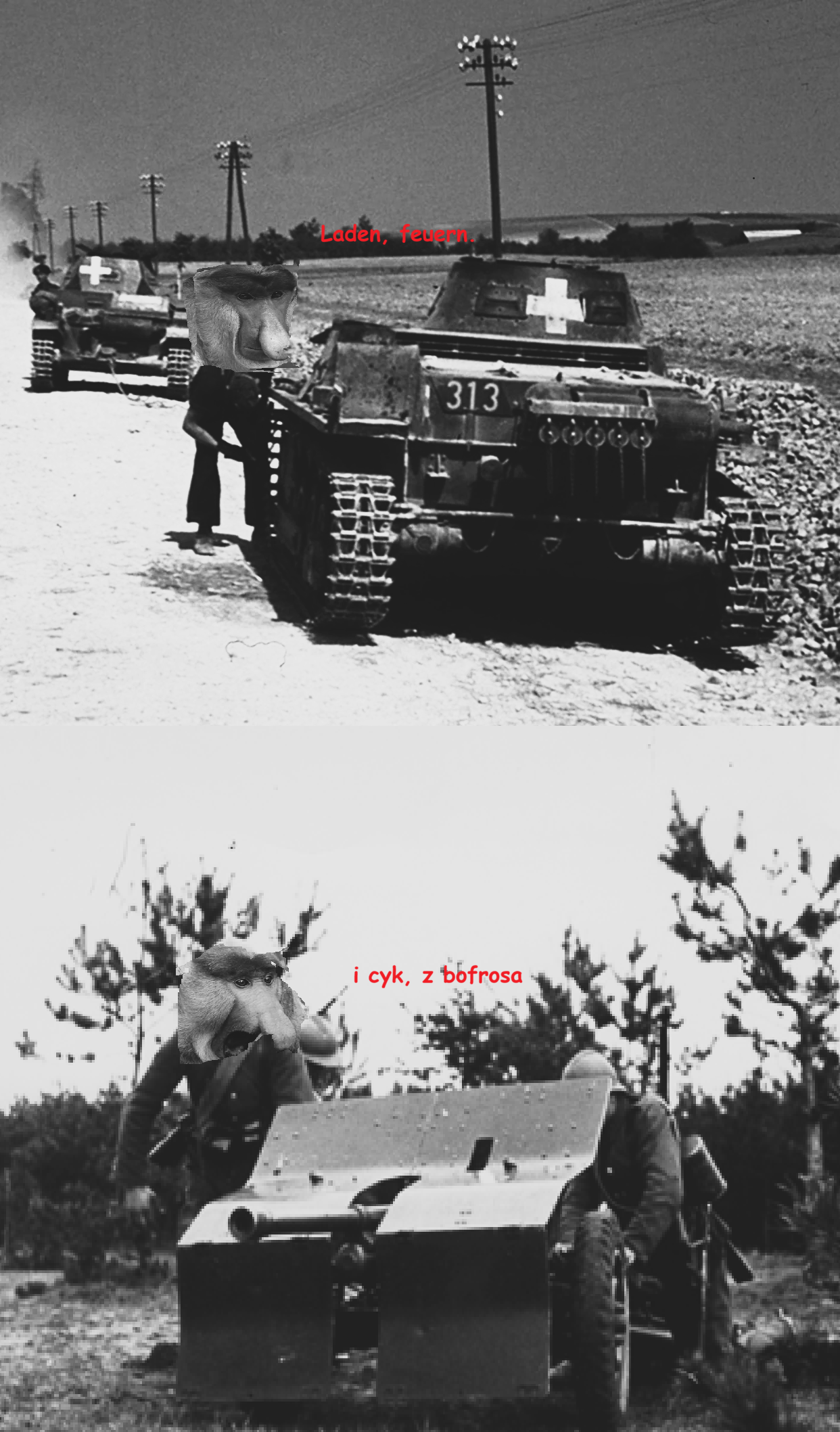 Dzieło sztuki #17305