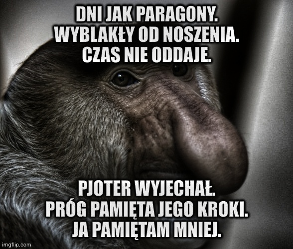 Dzieło sztuki #17306