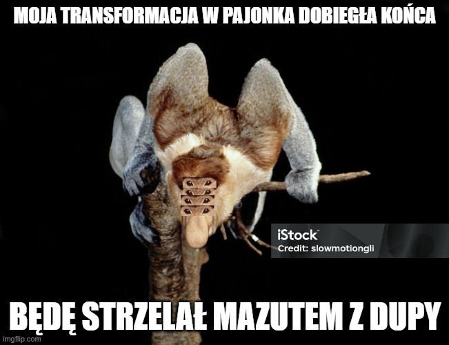 Dzieło sztuki #17318