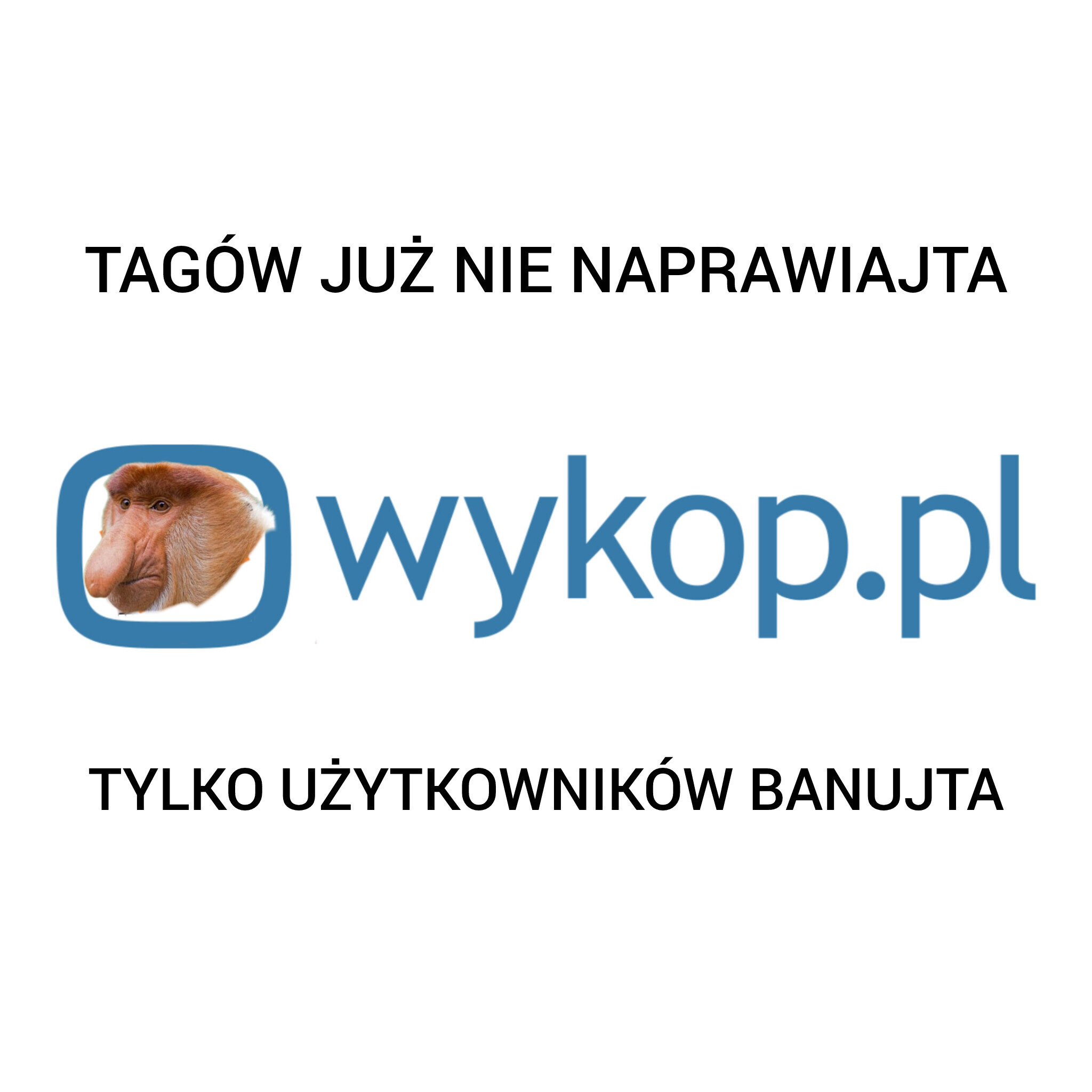 Dzieło sztuki #17323