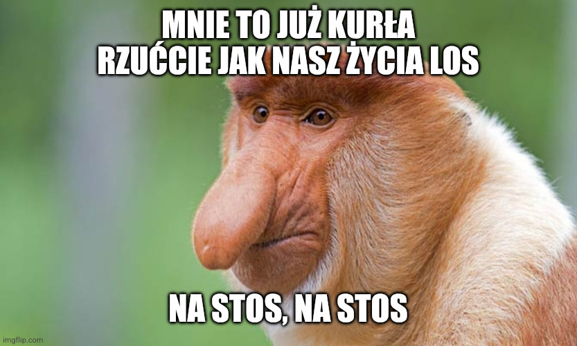 Dzieło sztuki #17343