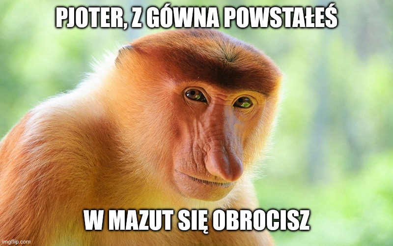 Dzieło sztuki #17346