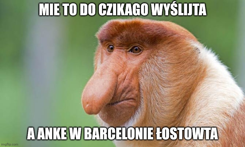 Dzieło sztuki #17363