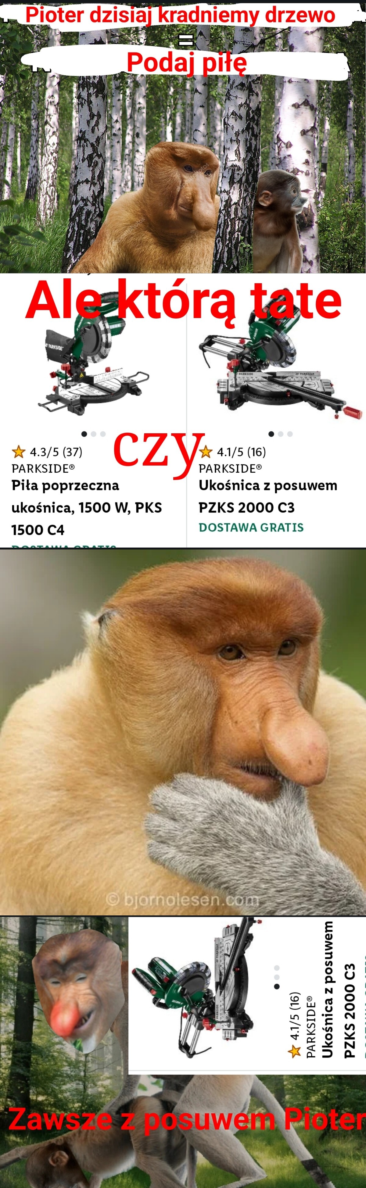 Dzieło sztuki #17364